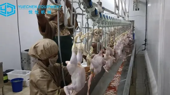 家禽屠殺、小型自動DIP沸騰水タンク、鶏熱湯殺害機、屠殺装置